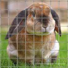 Galvanized Welded Wire Mesh Rabbit Bird Pet Cage